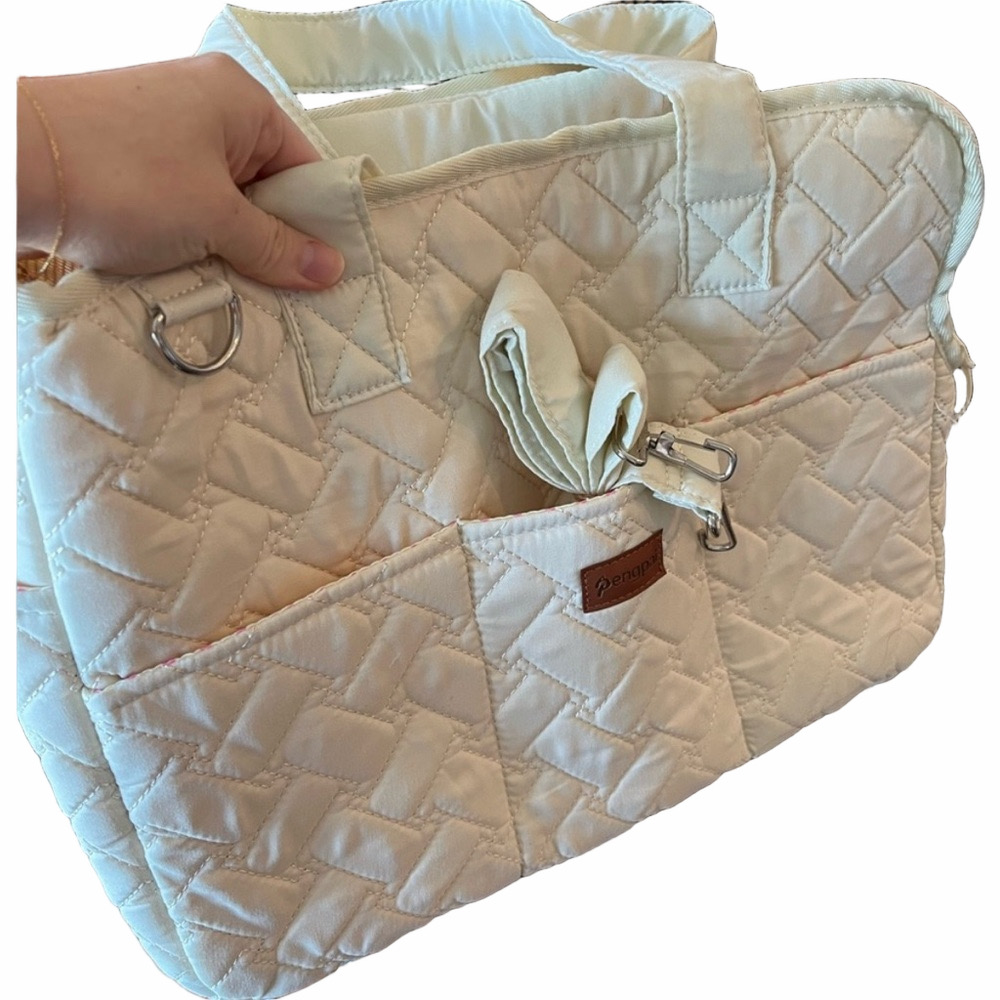Stylish Cream Dog Carrier with Pink Interior